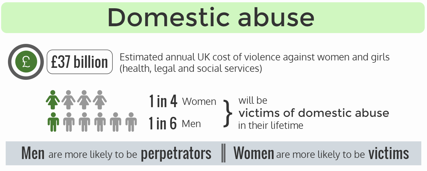 Domestic abuse infographic