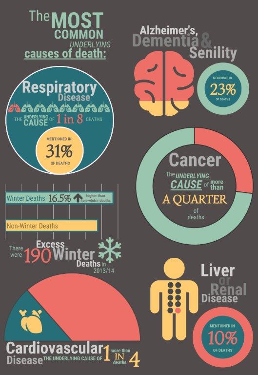 Cause of death infographic